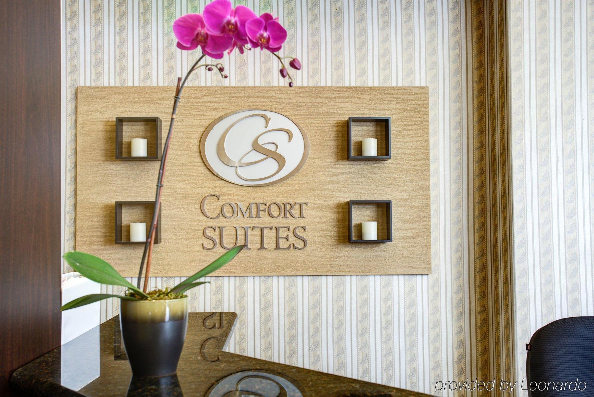 Comfort Suites San Jose Airport Exterior foto